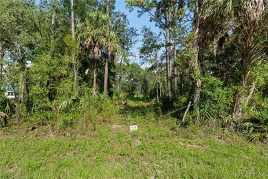 Rare opportunity to own a 1.24-acre homesite in the established - photo 6