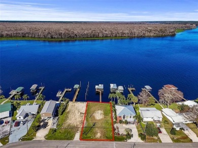 Lake Lot For Sale in Welaka, Florida