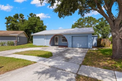 Lake Home Sale Pending in Brandon, Florida
