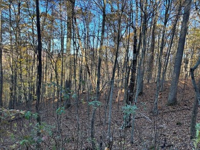 Lake Lot For Sale in Topton, North Carolina