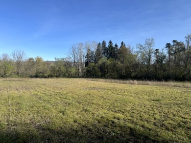 Meadows & Woods Along Keshequa Creek - photo 13
