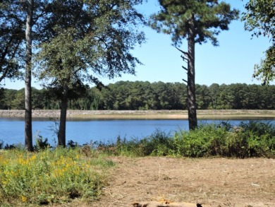 GENTLE SLOPING LAKE LOT! - photo 3