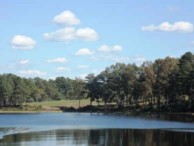 GENTLE SLOPING LAKE LOT! - photo 2