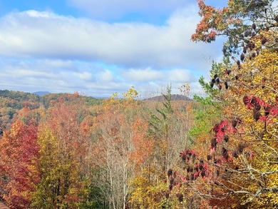 Lake Hiwassee Lot For Sale in Murphy North Carolina