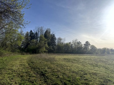 Meadows & Woods Along Keshequa Creek - photo 6