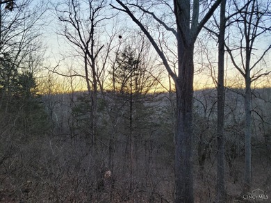 Ohio River Acreage For Sale in Washington Twp Ohio