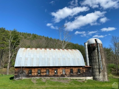 (private lake, pond, creek) Home For Sale in Middleburgh New York