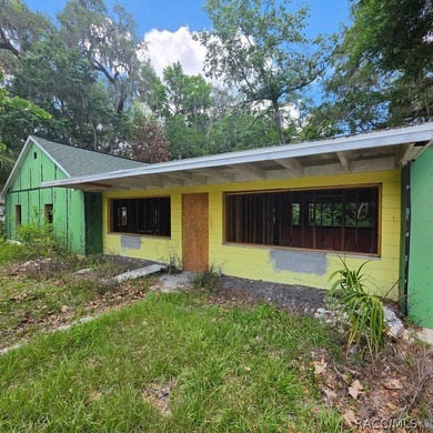 Tsala Apopka Chain of Lakes Home For Sale in Floral City Florida