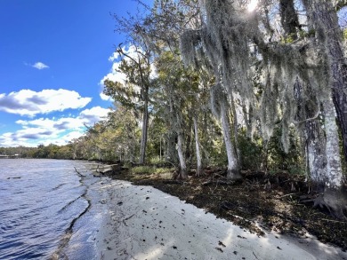 (private lake, pond, coastal) Acreage For Sale in Spanish Fort Alabama