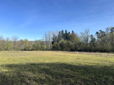 Meadows & Woods Along Keshequa Creek - photo 4