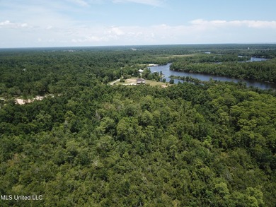 Nestled in the heart of Kiln on the Jourdan River, this - photo 12