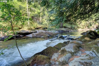 A RIVER RUNS THROUGH IT. Who needs a pool when you have a river - photo 4