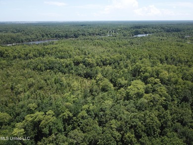Nestled in the heart of Kiln on the Jourdan River, this - photo 15