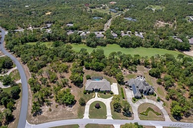 STATELY AND IMPRESSIVE, this Wheeler-built estate home welcomes - photo 2