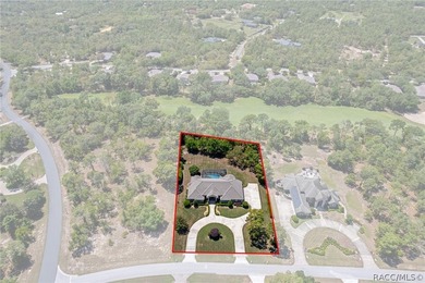 STATELY AND IMPRESSIVE, this Wheeler-built estate home welcomes - photo 3