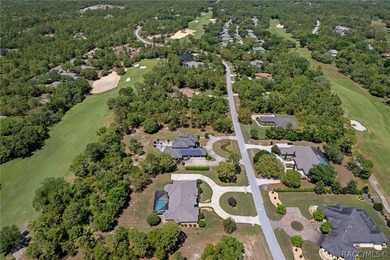STATELY AND IMPRESSIVE, this Wheeler-built estate home welcomes - photo 4