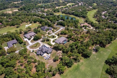 STATELY AND IMPRESSIVE, this Wheeler-built estate home welcomes - photo 5