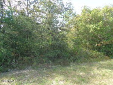 Lake McKenzie Lot For Sale in Altha Florida