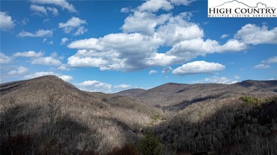 (private lake, pond, coastal) Lot For Sale in Todd North Carolina