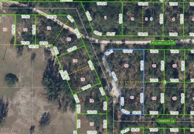 Lake Lot For Sale in Lake Placid, Florida