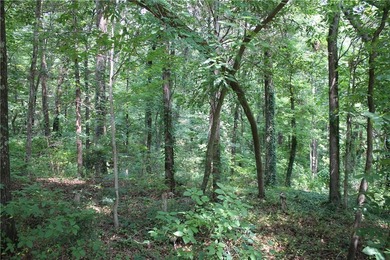 Looking to build in West Russellville? Don't miss this - photo 3