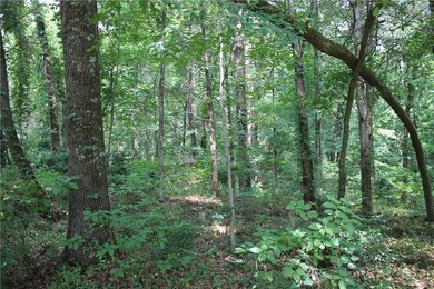 Looking to build in West Russellville? Don't miss this - photo 4