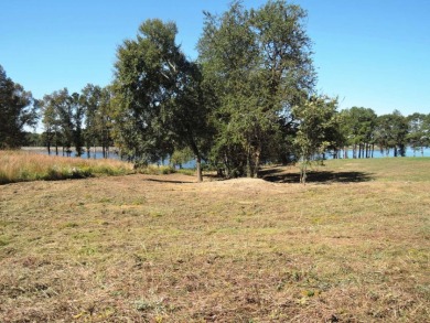 GENTLE SLOPING LAKE LOT! - photo 8