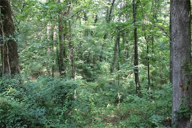 Looking to build in West Russellville? Don't miss this - photo 5