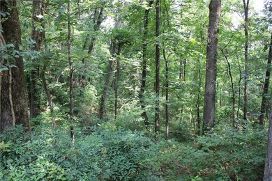 Looking to build in West Russellville? Don't miss this - photo 6