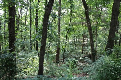 Looking to build in West Russellville? Don't miss this - photo 8