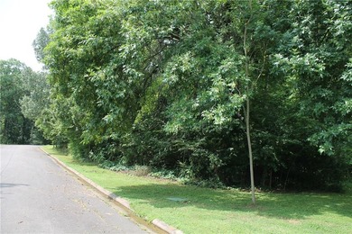 Looking to build in West Russellville? Don't miss this - photo 9