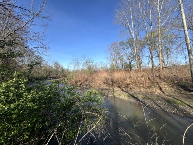 Meadows & Woods Along Keshequa Creek - photo 21