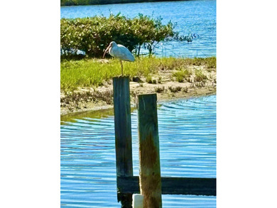 Under contract-accepting backup offers. Direct INTRACOASTAL - photo 18