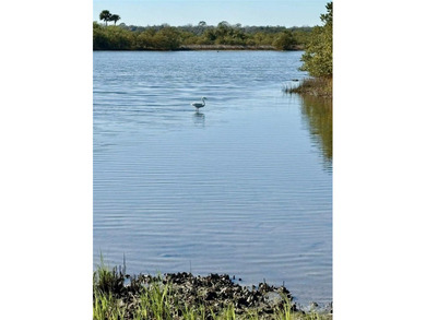 Under contract-accepting backup offers. Direct INTRACOASTAL - photo 21