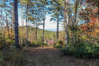 Lake Hiwassee Lot For Sale in Murphy North Carolina
