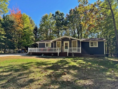 Lake Home For Sale in Canadian Lakes, Michigan