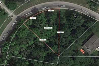 Cinnamon Lake Lot For Sale in West Salem Ohio