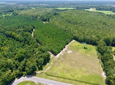 (private lake, pond, creek) Acreage For Sale in Estill South Carolina