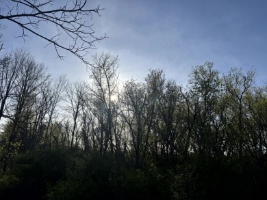 Meadows & Woods Along Keshequa Creek - photo 20