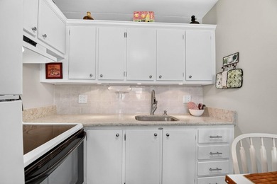 Welcome to this Rare Impeccably Maintained First Floor 2 Bedroom - photo 10