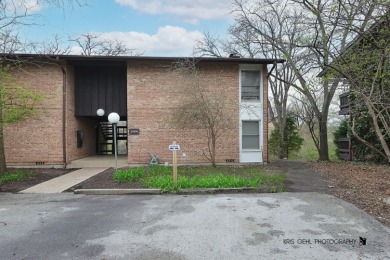 Lake Home Sale Pending in Lisle, Illinois