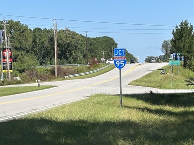 Lake Marion Commercial For Sale in Summerton South Carolina