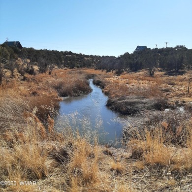 Lake Lot For Sale in Show Low, Arizona