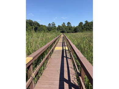 Lowcountry Living at Its Finest -- 8574 Refuge Point CircleEqual - photo 52