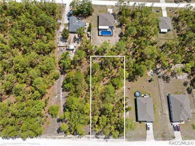 Build your dream home on this 0.46-acre vacant lot in Weeki - photo 1