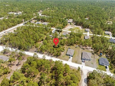 Build your dream home on this 0.46-acre vacant lot in Weeki - photo 2