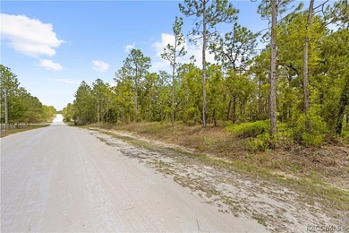Build your dream home on this 0.46-acre vacant lot in Weeki - photo 3