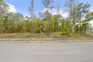 Build your dream home on this 0.46-acre vacant lot in Weeki - photo 4