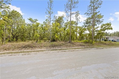 Build your dream home on this 0.46-acre vacant lot in Weeki - photo 5