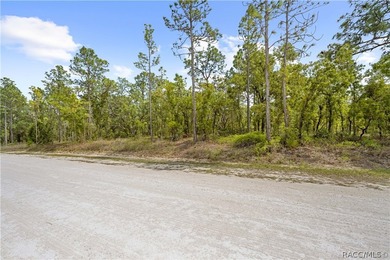 Build your dream home on this 0.46-acre vacant lot in Weeki - photo 6